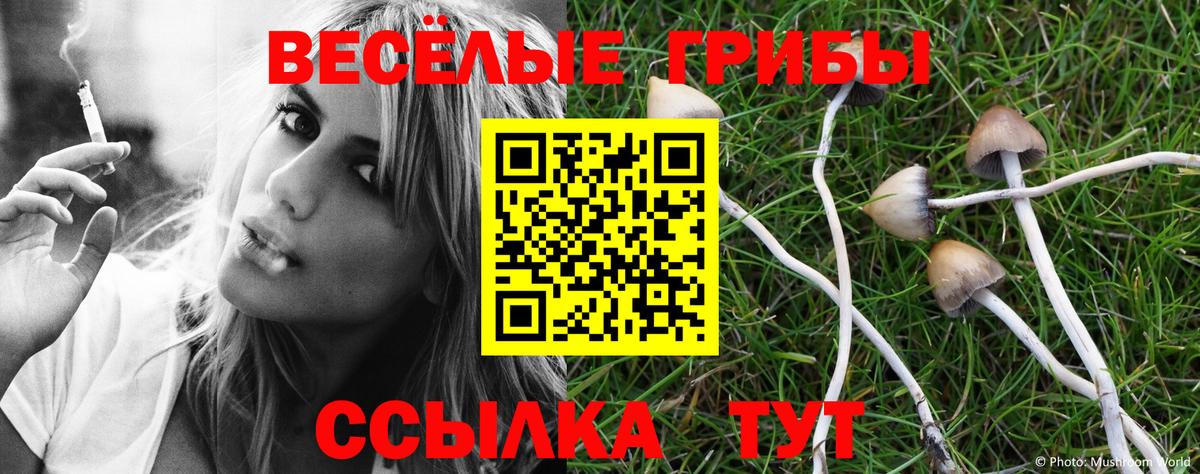 закладки  Псилоцибиновые грибы MAGIC MUSHROOMS  Вход с VPN  Ипатово 